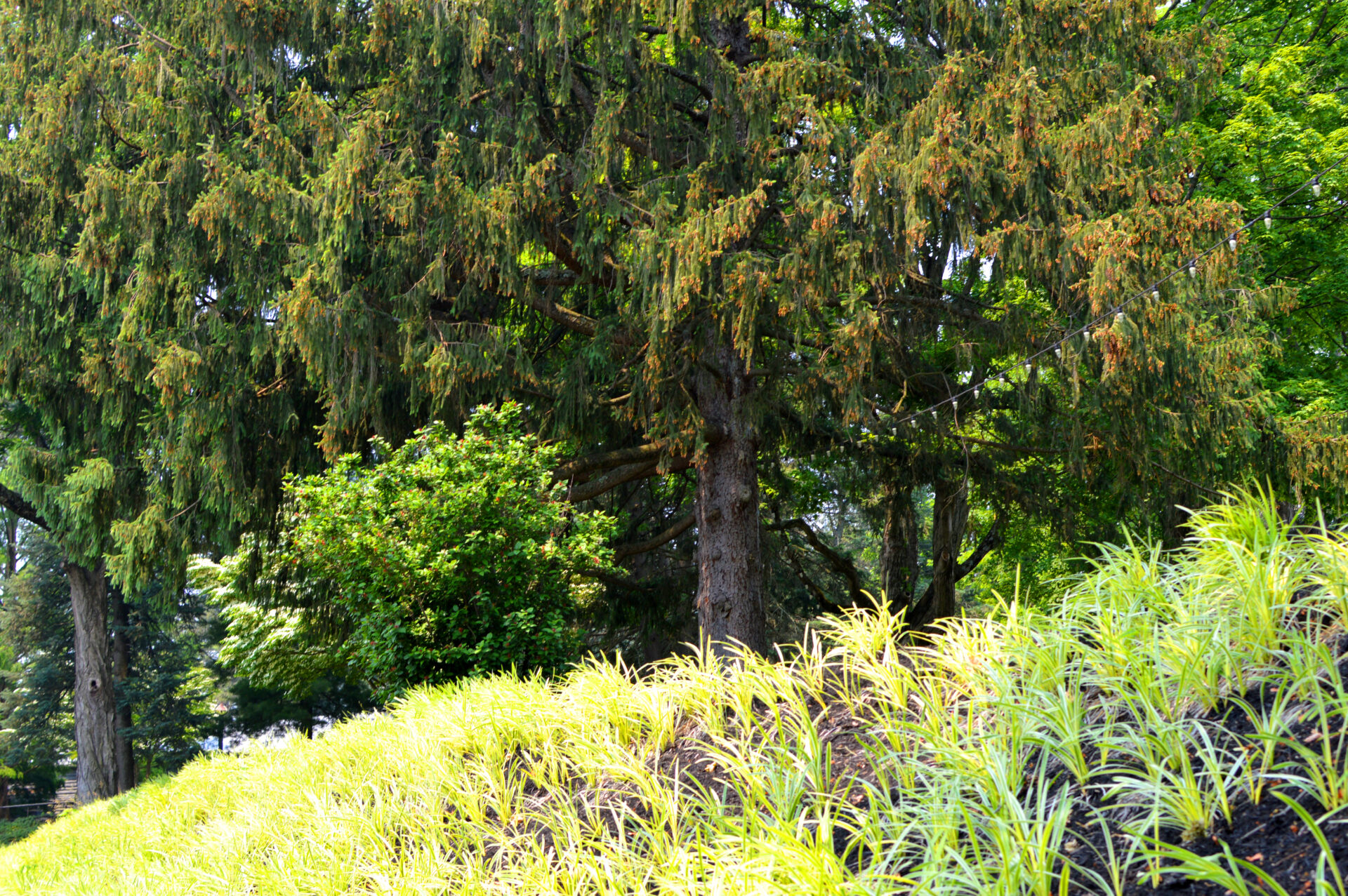 outdoor-activities-allenberry